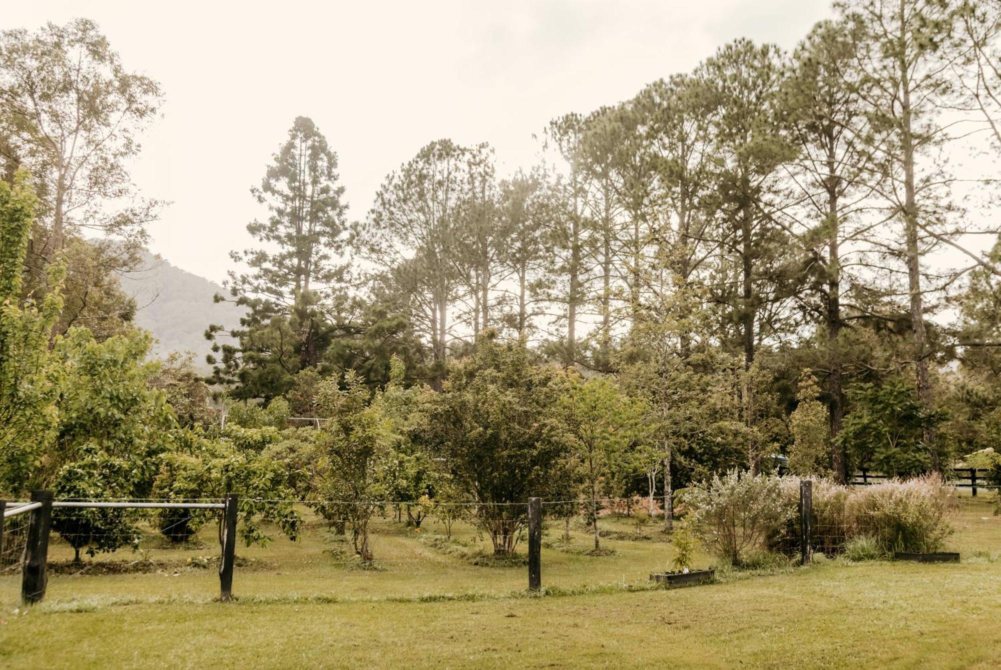 Contained In Nimbin Accommodation 외부 사진